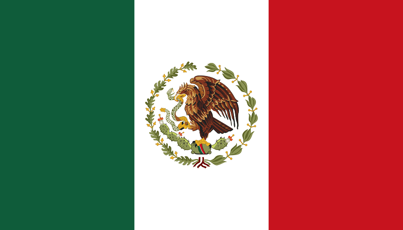 Plataforma México - verificación de antecedentes de guardias de seguridad